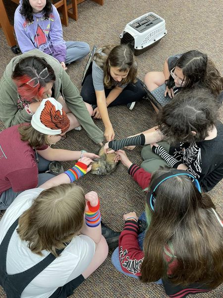 Pet GSA Club